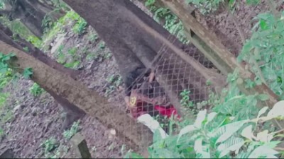 Kodaikanal Pine Tree Forest Areavil Aunty Sex Capture